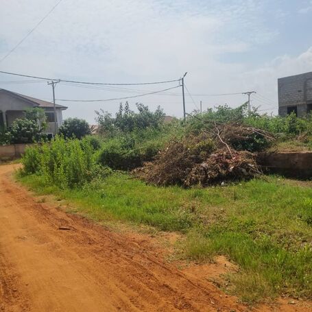 1 Titled Plot= Tema Community 25