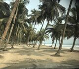 Well Demarcated Beachfront Plots = Saltpond