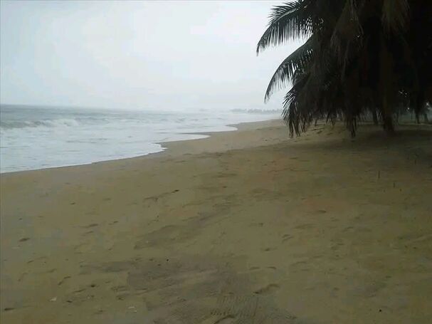 110 Acres of Coastal Paradise = Elmina®