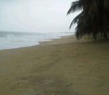 110 Acres of Coastal Paradise = Elmina®