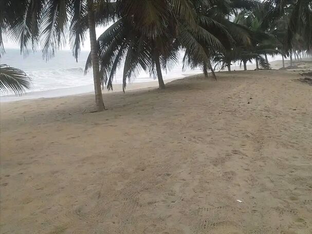 110 Acres of Pristine Beachfront Land = Elmina®