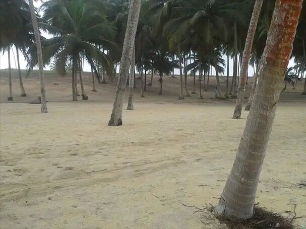 110 Acre Direct Beachfront Land in Elmina