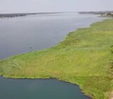 3 Acres of Direct Riverfront Land in Sogakope