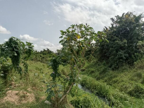 10 Title Certificate....Plots in Adjen Kotoku