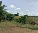Good Negotiable Lands = Adjen Kotoku