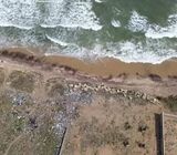 12 Titled Direct ... Beachfront Acres = Sakumono!!!