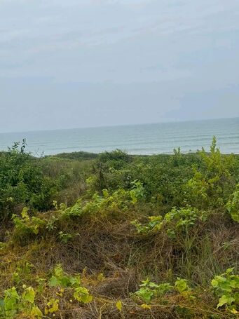 Direct Beachfront Plots = Senya Beraku