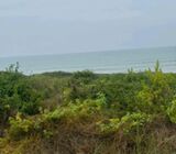 Direct Beachfront Plots = Senya Beraku