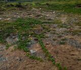 7 Titled Beachfront Plots === Nungua