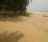 110 Beachfront Investment Acres = Elmina