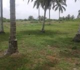 110 Acres of Direct Seafront Land == Elmina