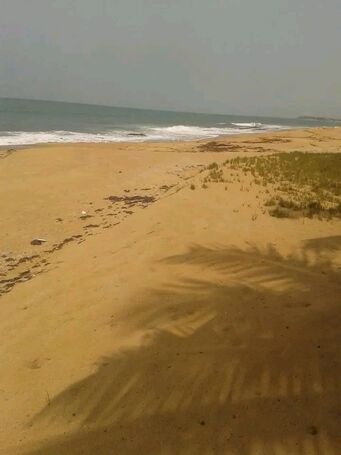 Exclusive 110 Acre Seafront LAND == ELMINA