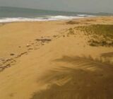 Exclusive 110 Acre Seafront LAND == ELMINA