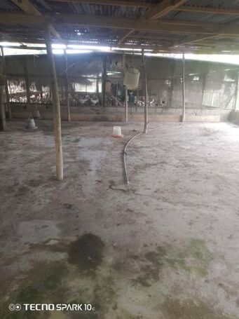 Poultry farm