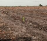 Quick land sale
