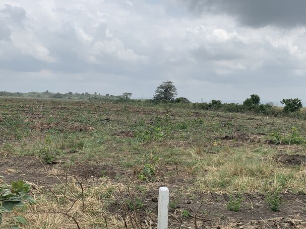 Quick sale! Quick Sale! Quick sale!