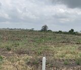 Quick sale! Quick Sale! Quick sale!