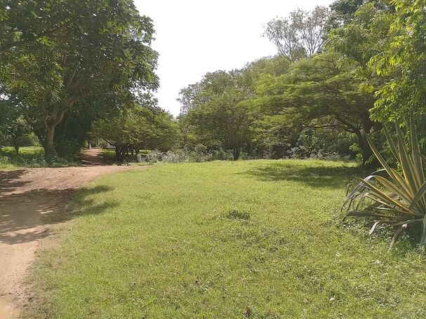 7 Titled Plots of Land = Spintex Community 18 Cambodia