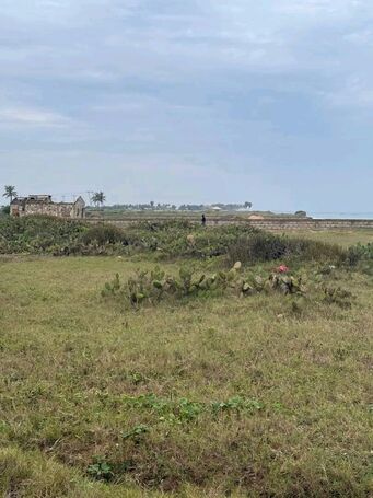 12 Beachfront ....... Plots = Old Ningo