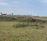 12 Direct Beachfront Plots = Old Ningo