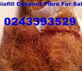 Coconut Fiber for Sale