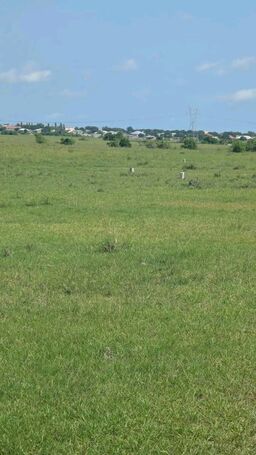 Well ..... Serviced Plots of Land = Dawa