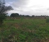 NICE LAND forsale
