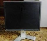 Dell monitor 18 inches