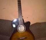 Acoustic led guitar