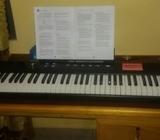 Williams Legato 88- key digital piano