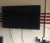 Bruhm 42inches