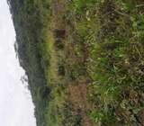 Accra Land For Sale